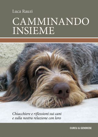 Camminando insieme