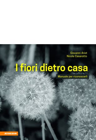 I fiori dietro casa