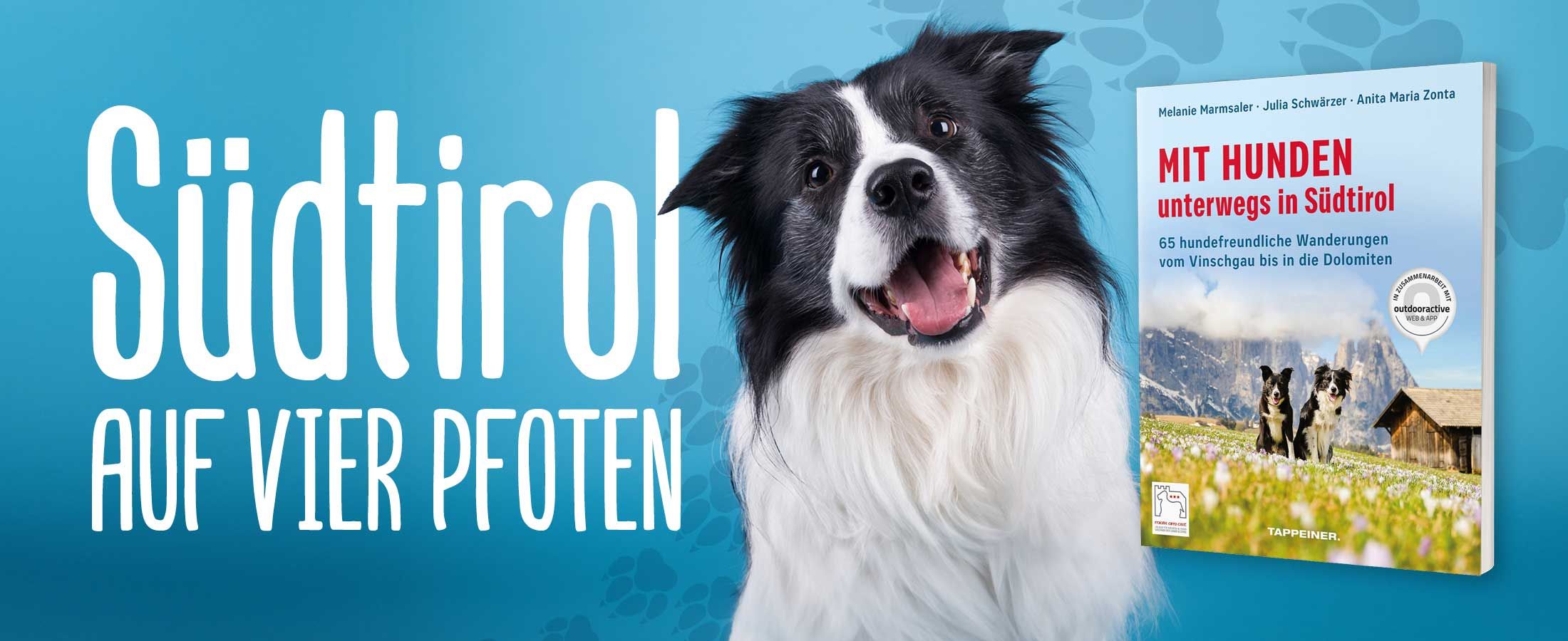 Wandern mit Hund